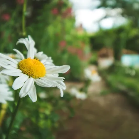 Visnja Appartamento *