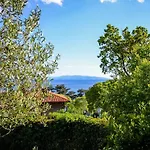 Visnja *